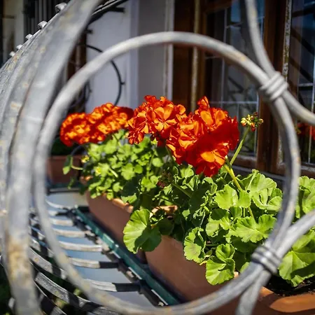 アパート Zypresse *