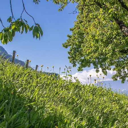 Appartement Zypresse