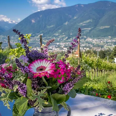 Apartment Zypresse Merano