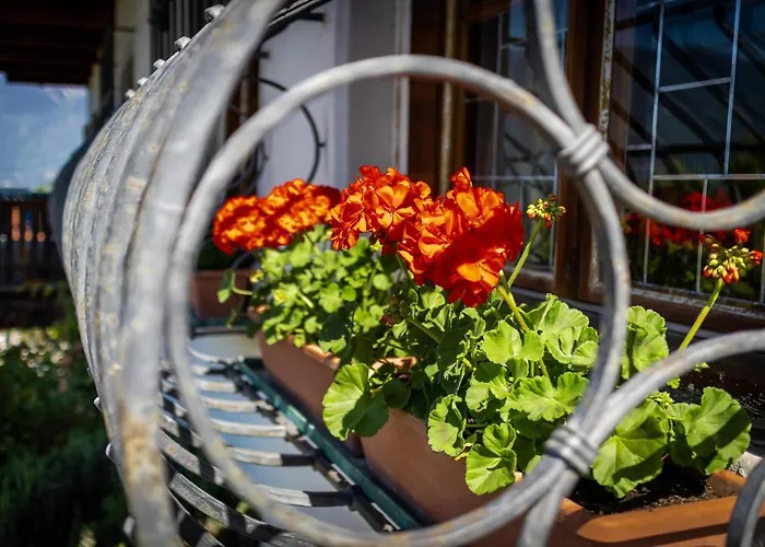 Appartement Zypresse *