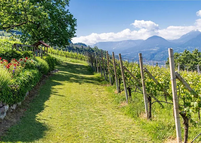 Daire Zypresse Merano