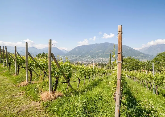 Zypresse Lägenhet Merano